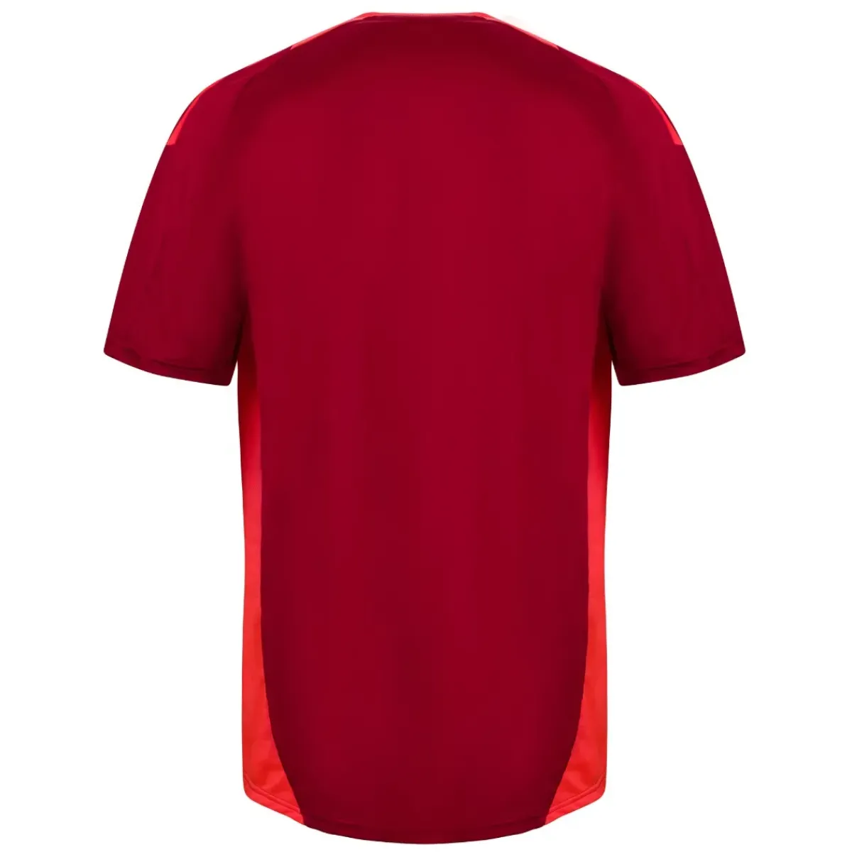 AS Roma T-shirts & Polo*Coach Training T-shirt, Red, Men