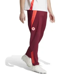 AS Roma Tracksuits & Pants*Pre-Match Sweatpants, Men, Bordeaux
