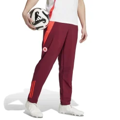 AS Roma Tracksuits & Pants*Pre-Match Sweatpants, Men, Bordeaux