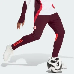 AS Roma Tracksuits & Pants*Training Pants, Burgundy