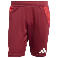 AS Roma Shorts*Training Shorts, Red