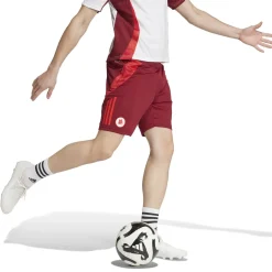 AS Roma Shorts*Training Shorts, Red